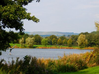Pond landscape trees photo