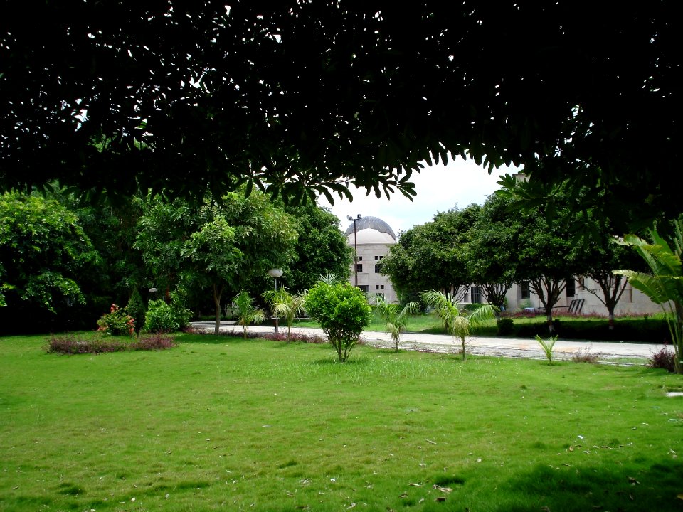IIITA Garden Library