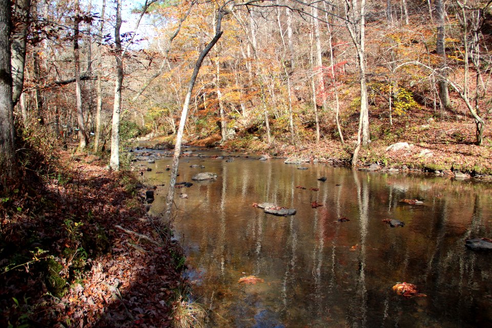 Johns Creek (Oostanaula River), Johns Mountain WMA, Nov 2017 2