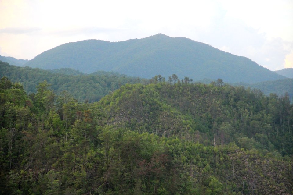 Hyatt Ridge viewed from Ballhoot Scar overlook, May 2017