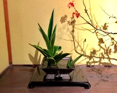 Ikebana exhibition at Meguro Gajoen 2018 10