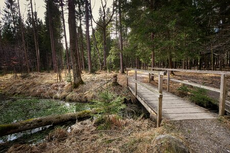 Landscape instructions bridge photo