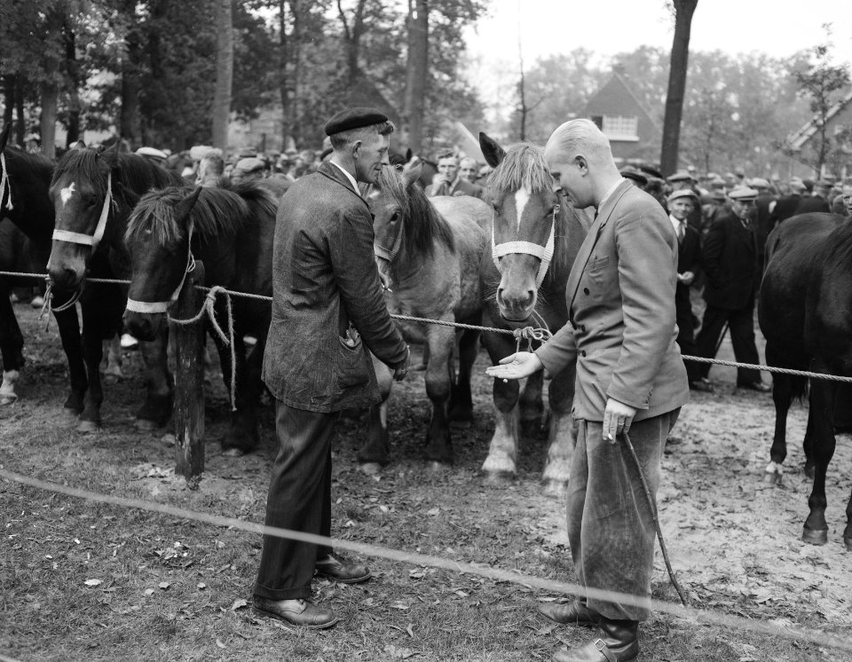 Jaarlijkse paardenmarkt in Zuidlaren, Bestanddeelnr 909-0342