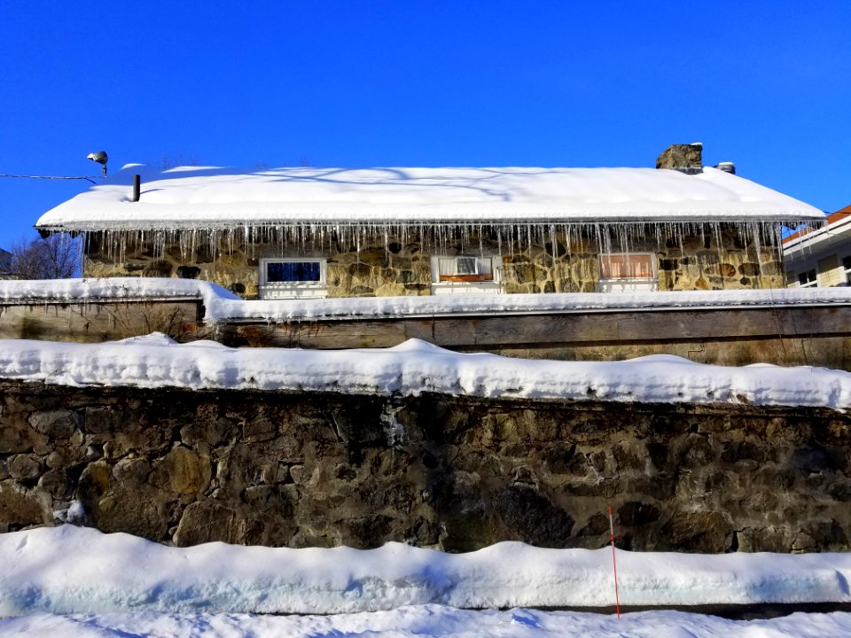 Icicles - Arlington, MA - 20210211 091409