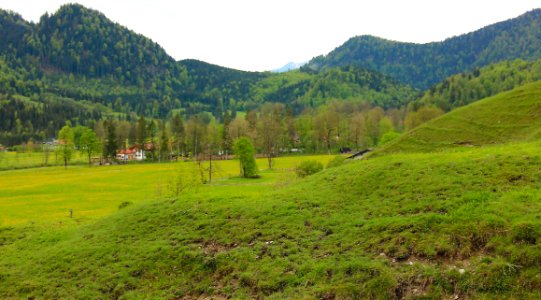 Jachenau mit gelber Blumenwiese