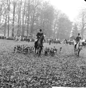 Jaarlijkse traditionele St. Hubertusslipjacht te Amersfoort, Bestanddeelnr 911-7421