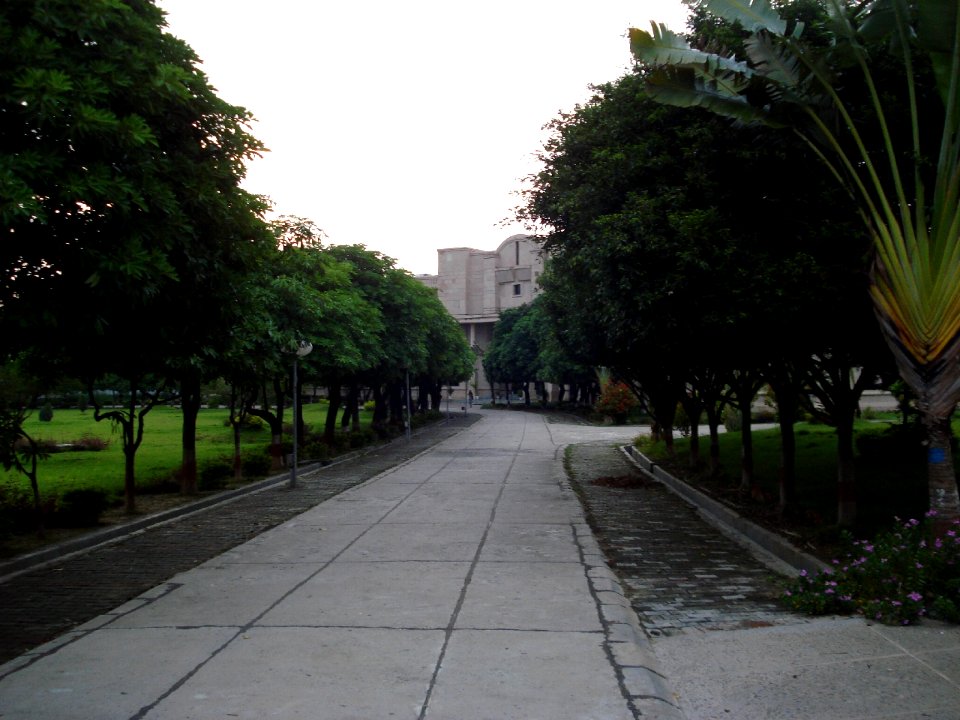 IIITA RoadToCC1