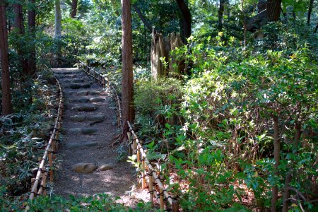 Ikedayama Park - Shinagawa, Tokyo - DSC00954