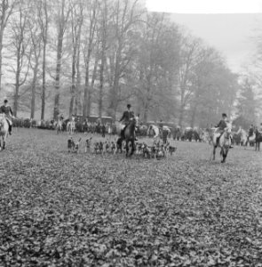 Jaarlijkse traditionele St. Hubertusslipjacht te Amersfoort, Bestanddeelnr 911-7425