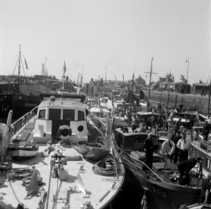 Internationale kruistocht voor motorboten Terneuzen, Bestanddeelnr 902-8704