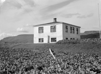 Huis bij Reykir met daarvoor een perceel te velde staand gewas, Bestanddeelnr 190-0384 photo