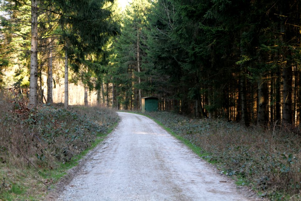 Jagdhausweg Kronberg 2020-03-25 02