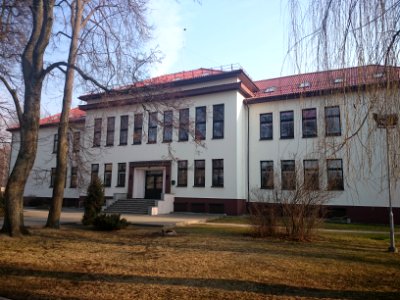 Janina Miščiukaitė School of Art 2015