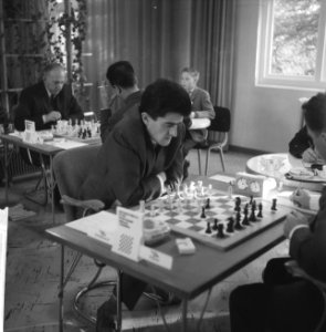 Internationaal Schaaktoernooi in Zevenaar. Matanovitch, Bestanddeelnr 913-1226