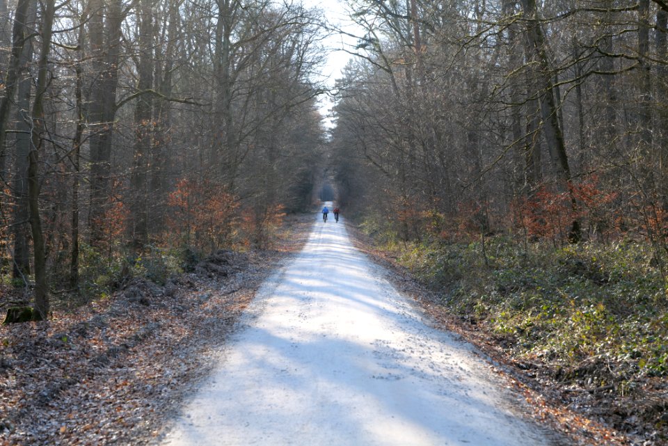 Jagdhüttenweg Kronberg 2020-03-25 09