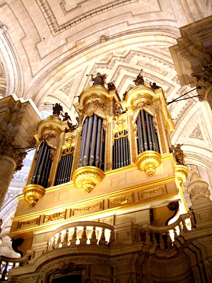 Jaén - Catedral, órgano 7
