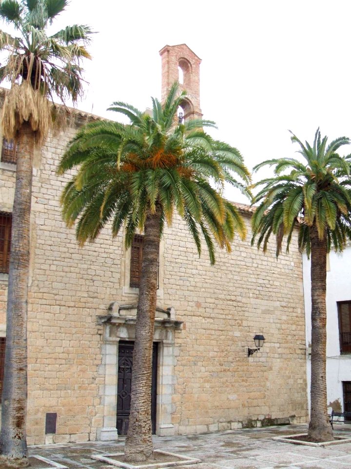 Jaén - Palacio de Villardompardo 4