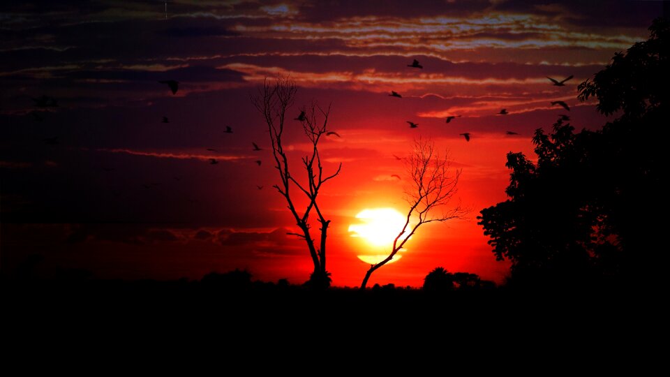 Evening landscape sun photo