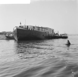 Grootste parlevinker van West-Europa, de heer Arnitz uit Millingen bij Lobith, h, Bestanddeelnr 914-4361
