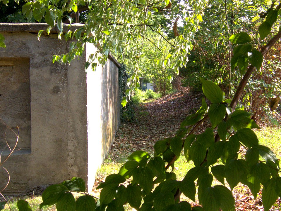 Jüdischer Friedhof Kriegshaber Augsburg 03