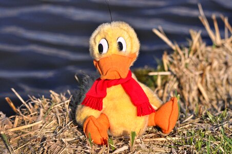 Stuffed duck stuffed animal cuddly toy photo