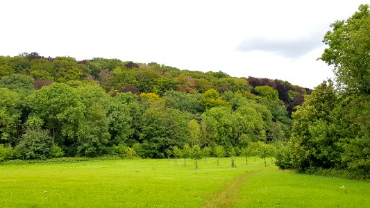 Gronsveld-Riesenberg met Dorregrubbe (7)