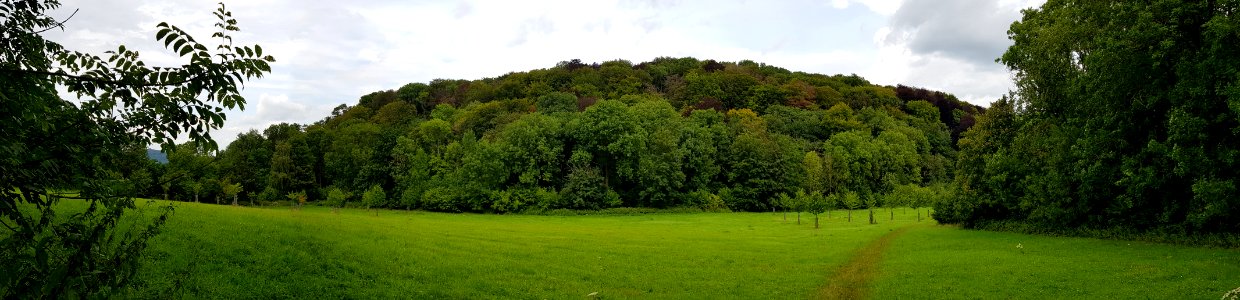 Gronsveld-Riesenberg met Dorregrubbe (8)