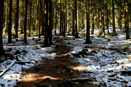 Großer Feldberg 2020-03-23 38