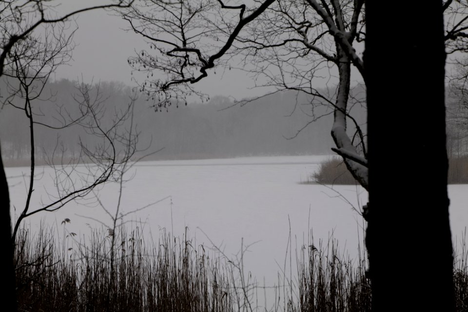 Großer Lienewitzsee with snow 2021-02-07 16