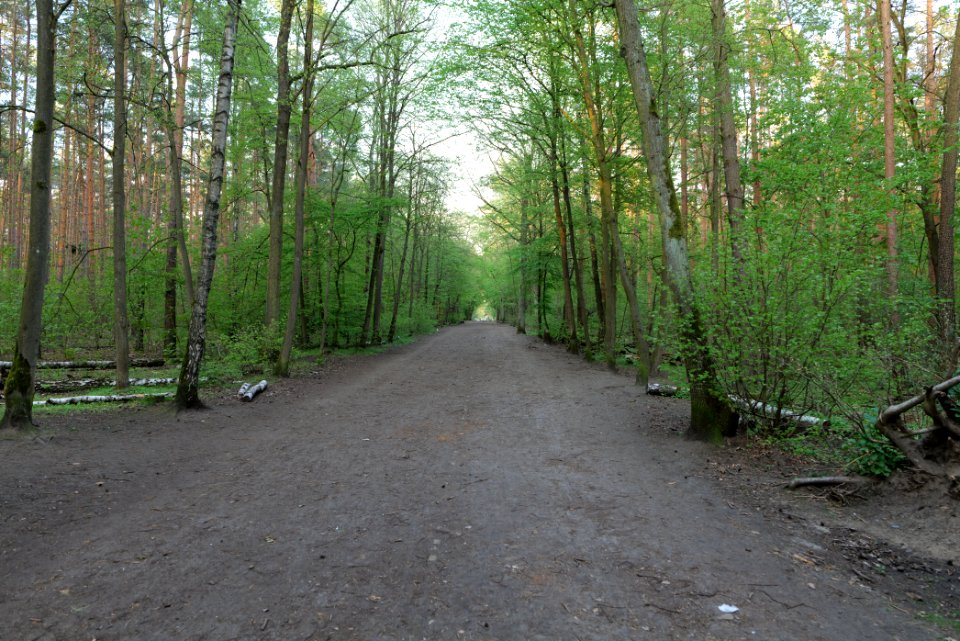 Grunewald 2021-05-10 95