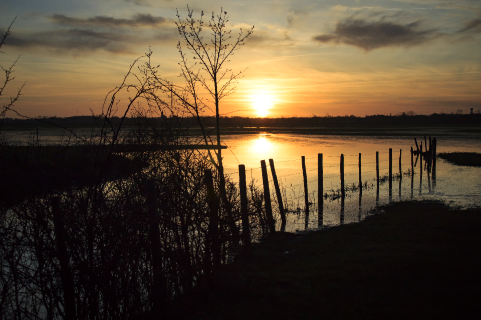 Field reflection landscape