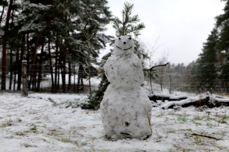 Grunewald with snow 2021-01-03 21