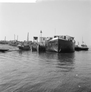 Grootste parlevinker van West-Europa, de heer Arnitz uit Millingen bij Lobith, h, Bestanddeelnr 914-4360