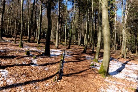 Großer Feldberg 2020-03-23 30