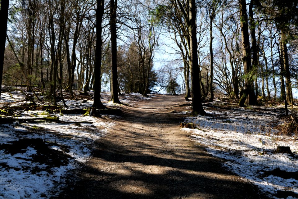 Großer Feldberg 2020-03-23 49