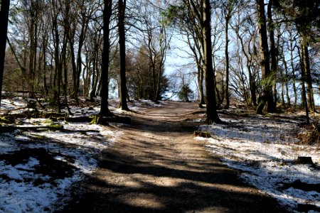 Großer Feldberg 2020-03-23 49