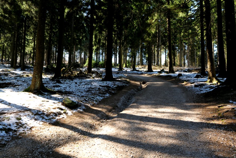 Großer Feldberg 2020-03-23 45