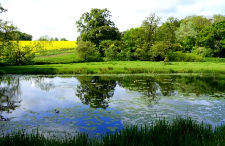 Grounds - Rushton Hall - Northamptonshire, England DSC09372