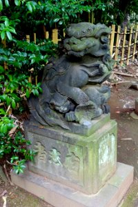 Guardian - Shibuya Hikawa-jinja - Shibuya, Tokyo, Japan - DSC05494