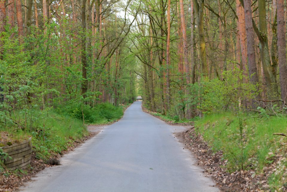 Grunewald 2021-05-10 69