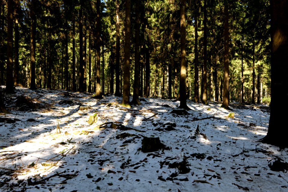 Großer Feldberg 2020-03-23 43