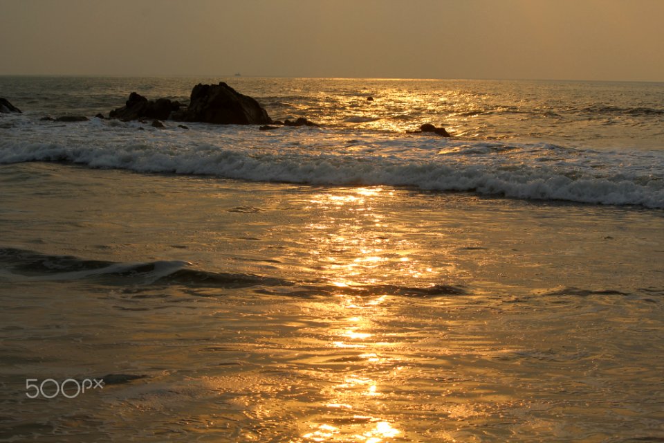 Golden Morning (255626291)
