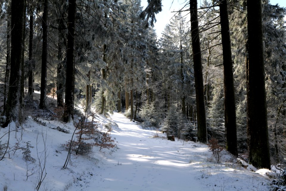 Großer Feldberg with snow 2021-04-06 11