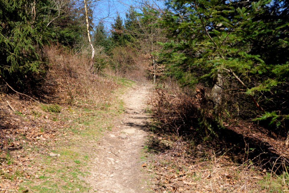 Großer Feldberg 2020-03-23 08