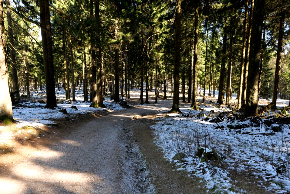 Großer Feldberg 2020-03-23 46