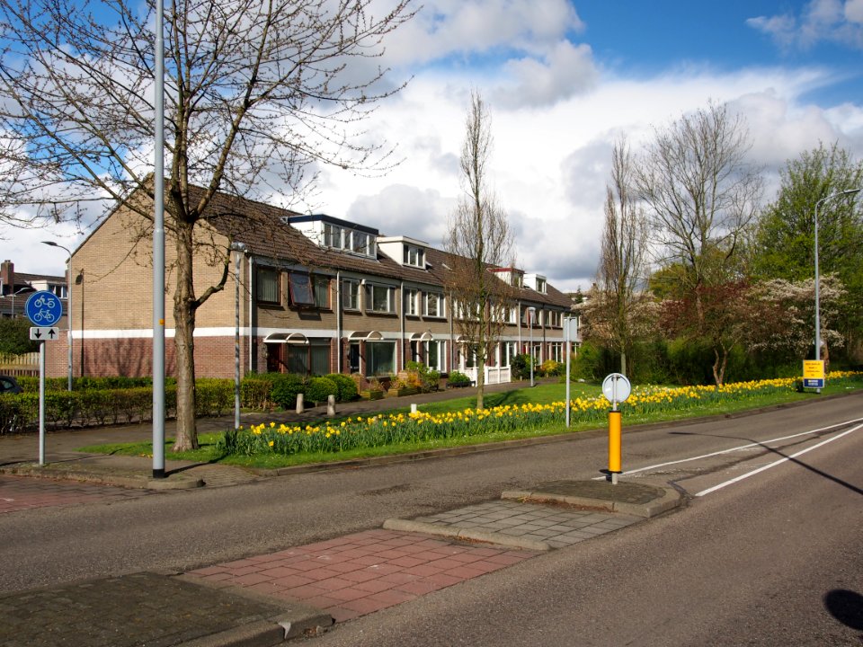Graan voor Visch 149xx pic4