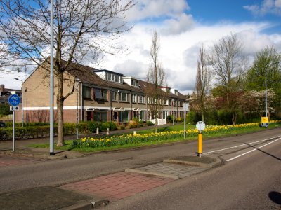 Graan voor Visch 149xx pic4