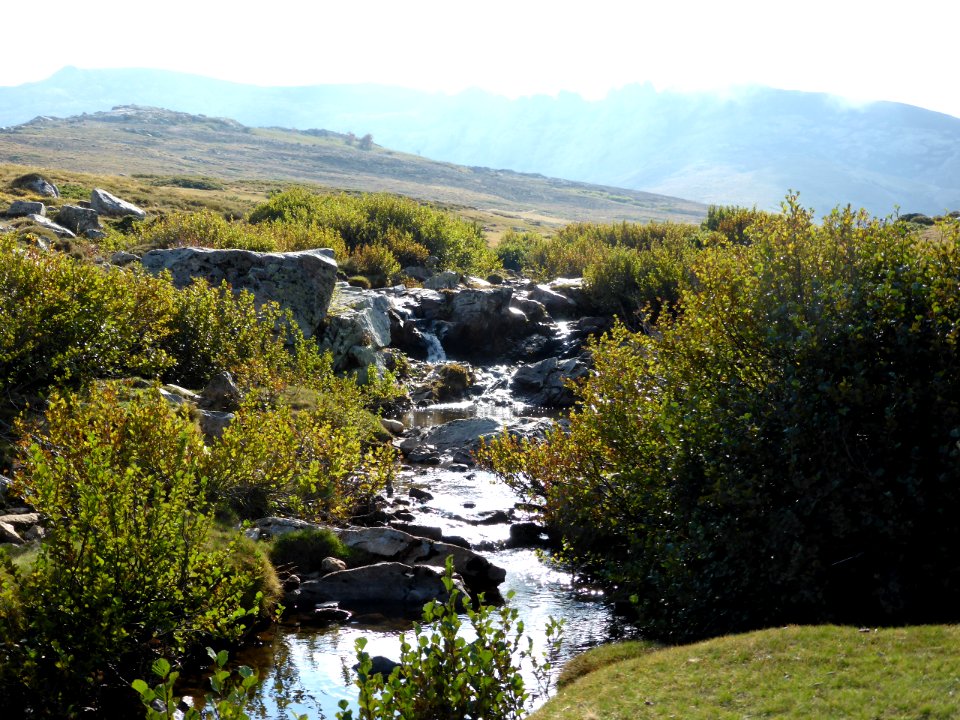 Gr-20-castel-de-vergio-to-manganu-17