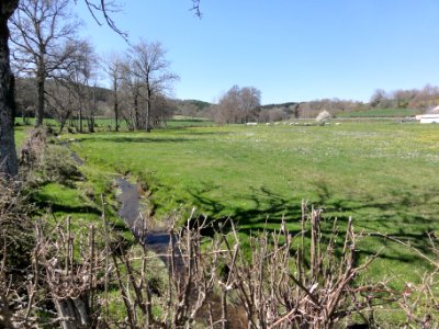Gouttières (Puy-de-Dôme) paysage avec ruisseau le Chalamont
