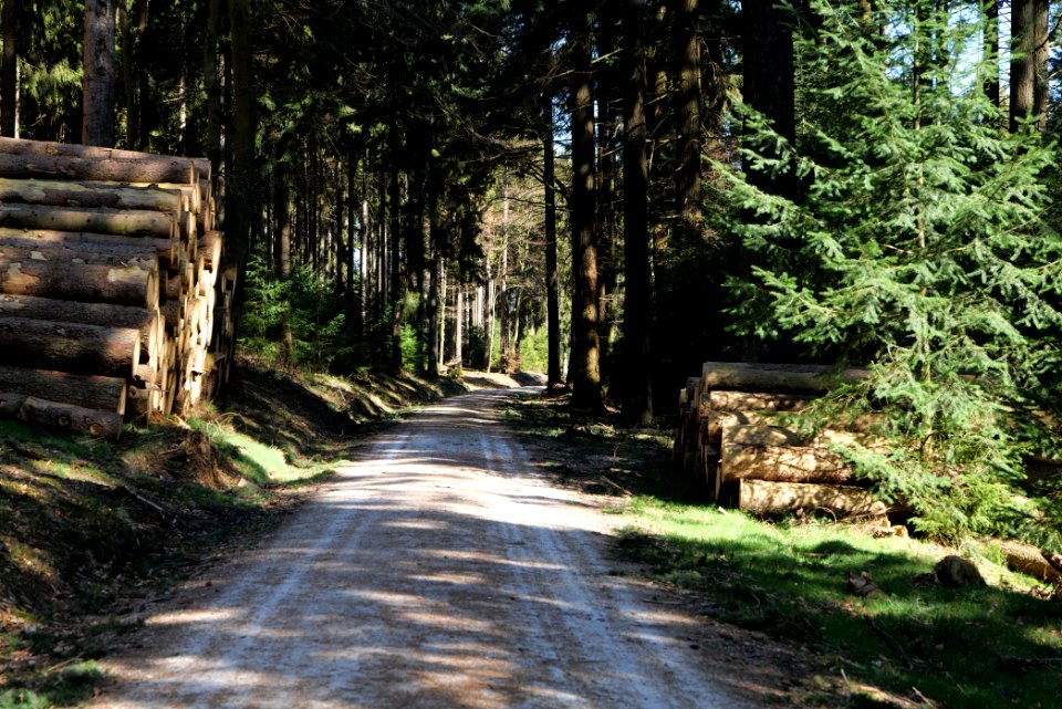 Großer Feldberg 2020-03-23 23